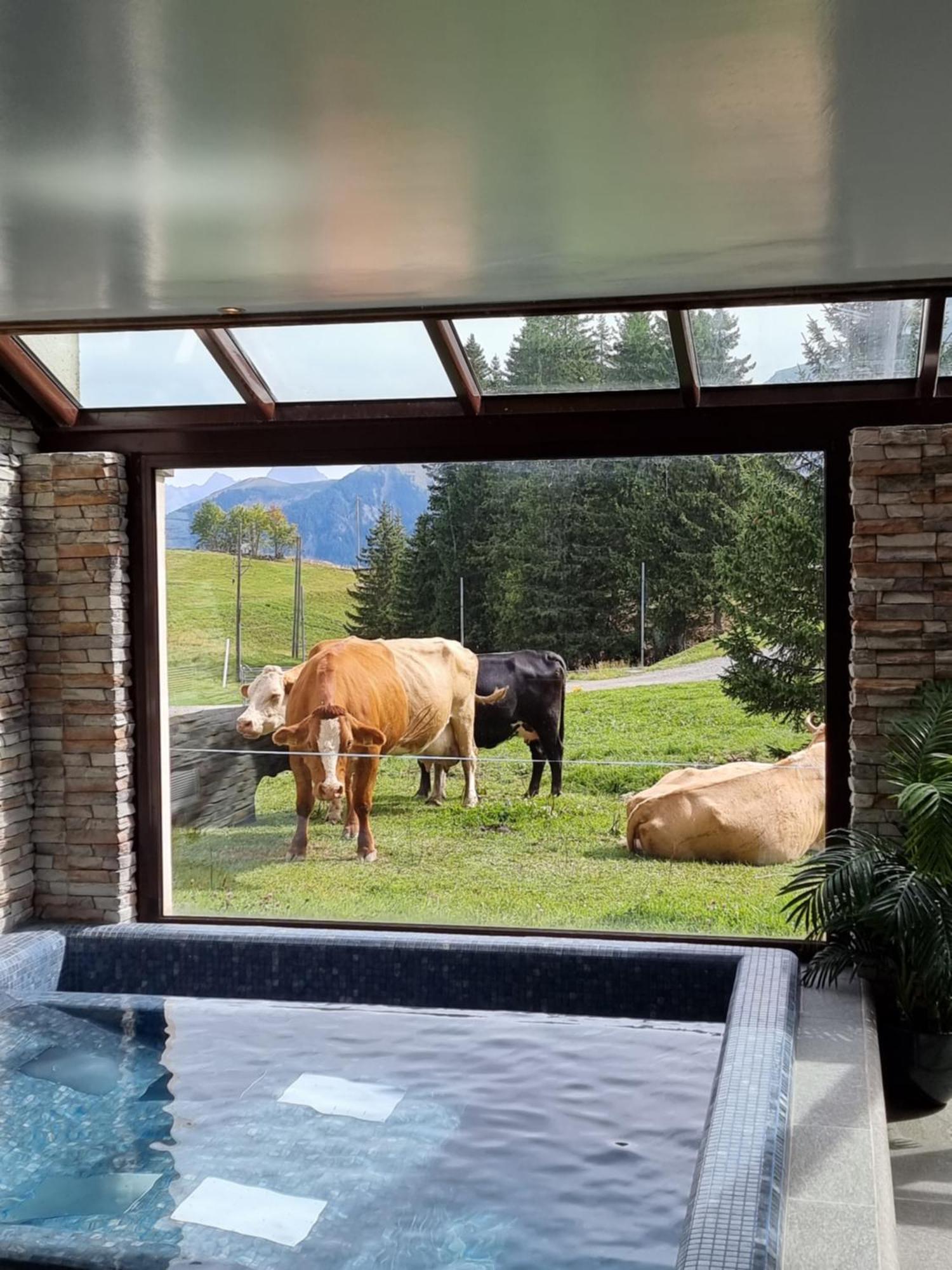 Hotel Mountain Lodge, Les Crosets